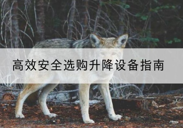 化隆升降货梯厂家推荐-*安全选购升降设备指南