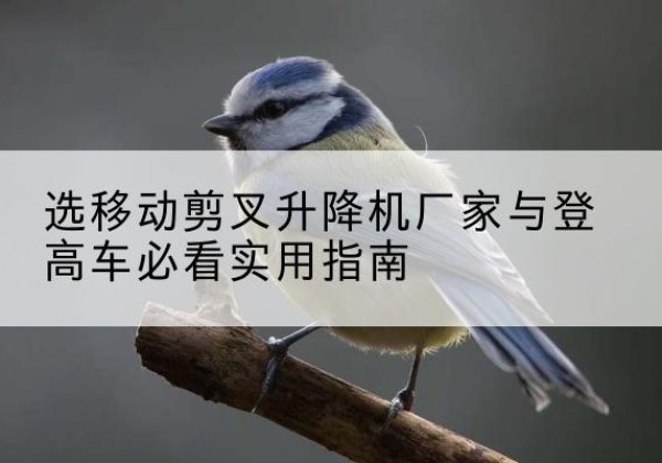 化隆电动升降机厂家-选移动剪叉升降机厂家与登高车必看实用指南