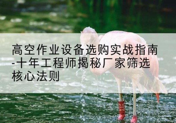 化隆剪叉式升降机厂家-高空作业设备选购实战指南-十年工程师揭秘厂家筛选核心法则